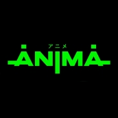 Loft пространство Anima / Анима