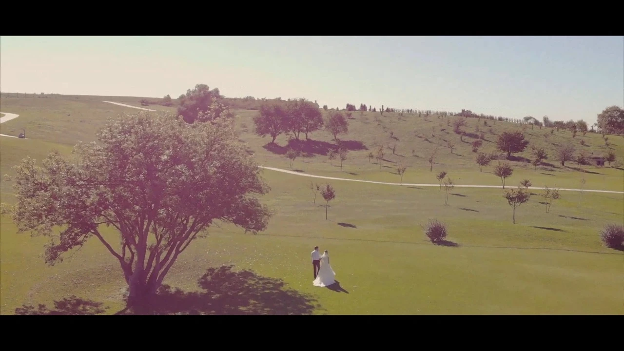 Видеограф Ефим Обичкин - видео 2